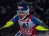 Shiffrin M.