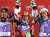 Hirscher M.