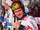 Hirscher M.