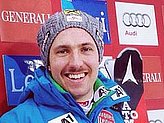 Hirscher M.