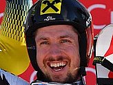 Hirscher M.