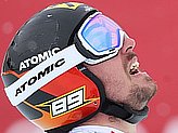 Hirscher M.