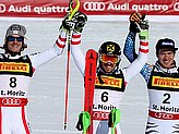 Hirscher M.