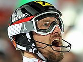 Hirscher M.