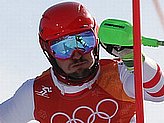 Hirscher M.