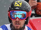 Hirscher M.