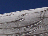 Traiettorie sul manto vergine del ghiacciaio del Presena