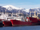 Flotta, tra cui delle rompi-ghiaccio, nel porto di Ushuaia