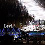 Levi