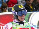 Hirscher M.