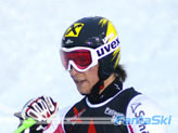 Hirscher M.