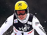 Hirscher M.