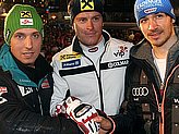 Hirscher M.