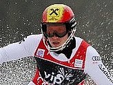 Hirscher M.