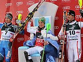 Hirscher M.