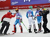 Hirscher M.