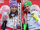 Hirscher M.