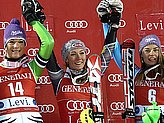 Shiffrin M.