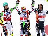 Hirscher M.