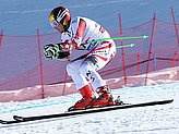 Hirscher M.