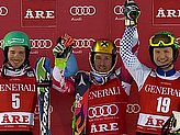 Hirscher M.