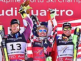 Hirscher M.