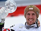 Hirscher M.