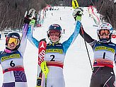 Shiffrin M.