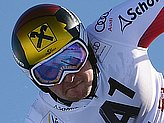 Hirscher M.