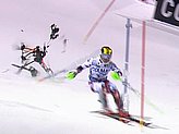 Hirscher M.