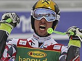 Hirscher M.