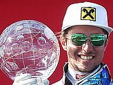 Hirscher M.
