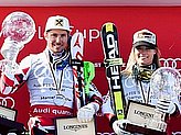 Hirscher M.