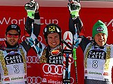 Hirscher M.