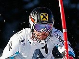 Hirscher M.