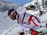 Hirscher M.