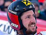 Hirscher M.