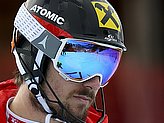 Hirscher M.