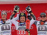 Hirscher M.