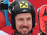 Hirscher M.