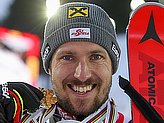 Hirscher M.