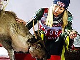 Shiffrin M.