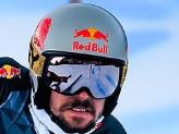 Hirscher M.