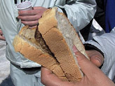 Fette di pane contenenti carne di maiale insaccata e cotta sulla griglia