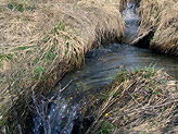 Sui pratoni del Tonale, ecco un tipico torrente che raccoglie le acque prodotte dallo scioglimento dei manti nevosi
