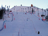 Selva di pali sul pendio di Sestriere