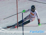 Hirscher M.