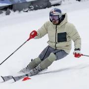 Hirscher M.